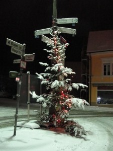 This lonely tree watches over the street in the middle of the night