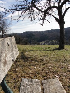 Reading bench